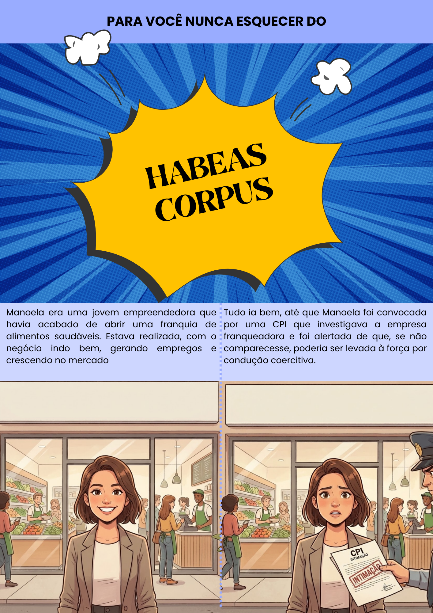 META 4 - CONSTITUCIONAL (6)